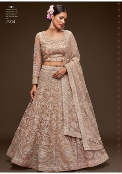 Chickoo  Soft Net Lehenga